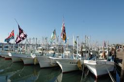 dsc_1170.jpg