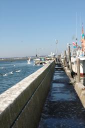 dsc_1175.jpg
