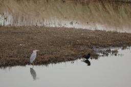 dsc_1193.jpg