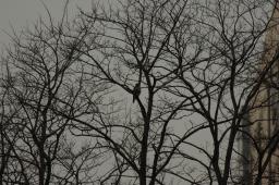dsc_1254.jpg
