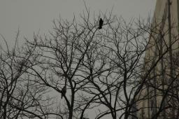 dsc_1257.jpg