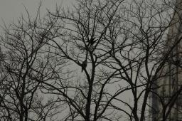 dsc_1258.jpg