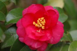 dsc_1279.jpg