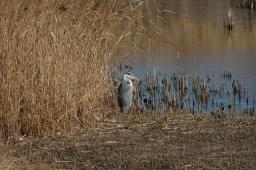 dsc_1324.jpg