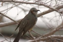 dsc_1441.jpg