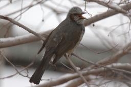 dsc_1442.jpg