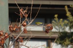 dsc_1552.jpg