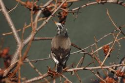 dsc_1637.jpg