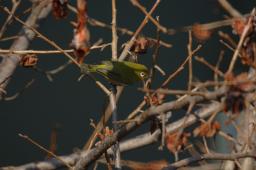 dsc_1641.jpg