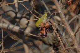 dsc_1645.jpg