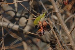 dsc_1647.jpg