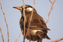 dsc_1679.jpg