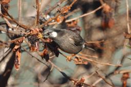 dsc_1681.jpg