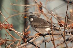 dsc_1682.jpg