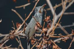 dsc_1684.jpg