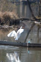 dsc_2374.jpg