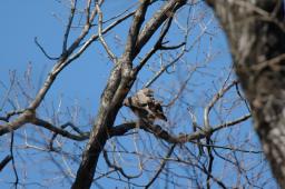 dsc_2397.jpg