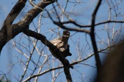 dsc_2400.jpg