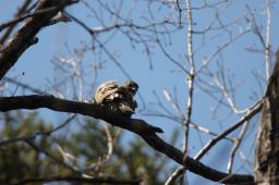 dsc_2406.jpg