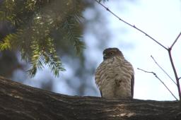 dsc_2511.jpg