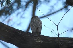 dsc_2512.jpg