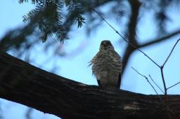 dsc_2544.jpg