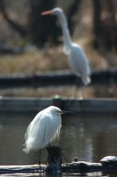 dsc_2557.jpg