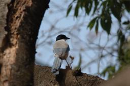 dsc_2733.jpg