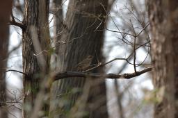 dsc_2766.jpg