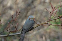 dsc_2780.jpg