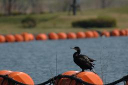 dsc_2797.jpg
