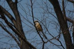 dsc_2802.jpg
