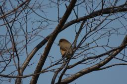 dsc_2806.jpg