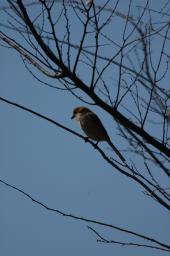 dsc_2816.jpg
