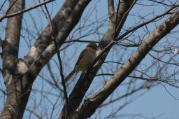 dsc_2823.jpg