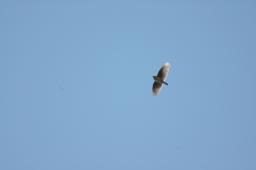 dsc_2870.jpg