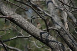 dsc_2886.jpg