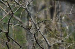 dsc_2891.jpg