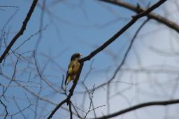 dsc_2899.jpg