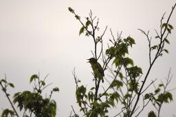dsc_3079.jpg