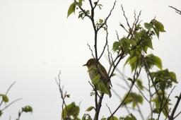 dsc_3082.jpg