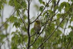 dsc_3086.jpg