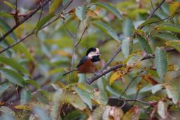 dsc_5177.jpg
