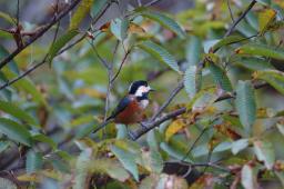 dsc_5178.jpg