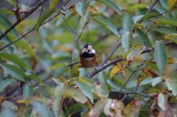dsc_5179.jpg
