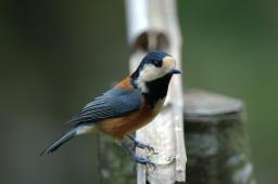dsc_5180.jpg