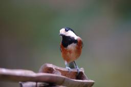 dsc_5182.jpg