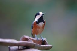 dsc_5183.jpg