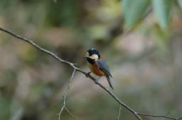 dsc_5214.jpg