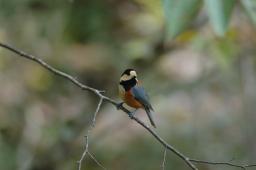 dsc_5215.jpg